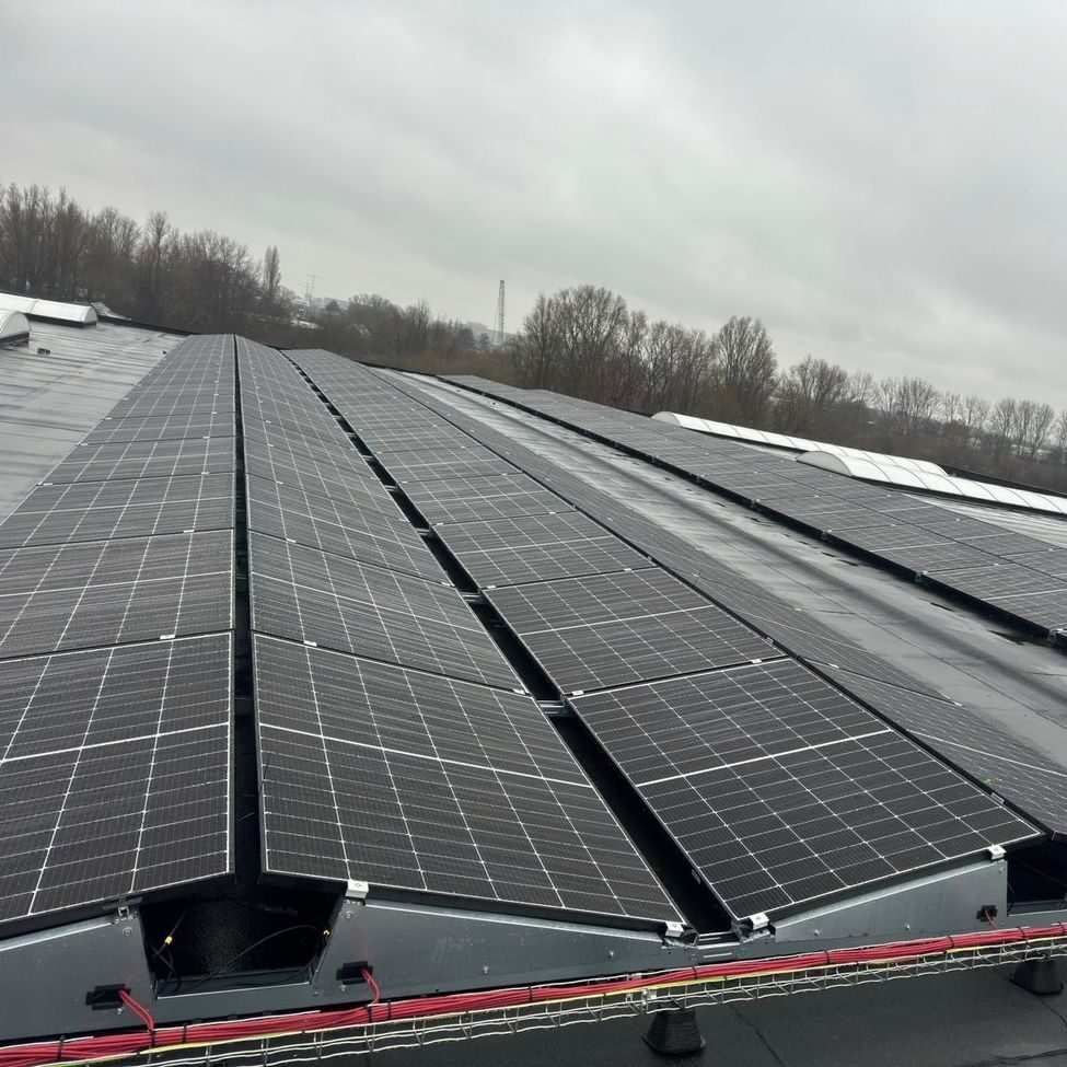 Zonnepanelen KRG asain food